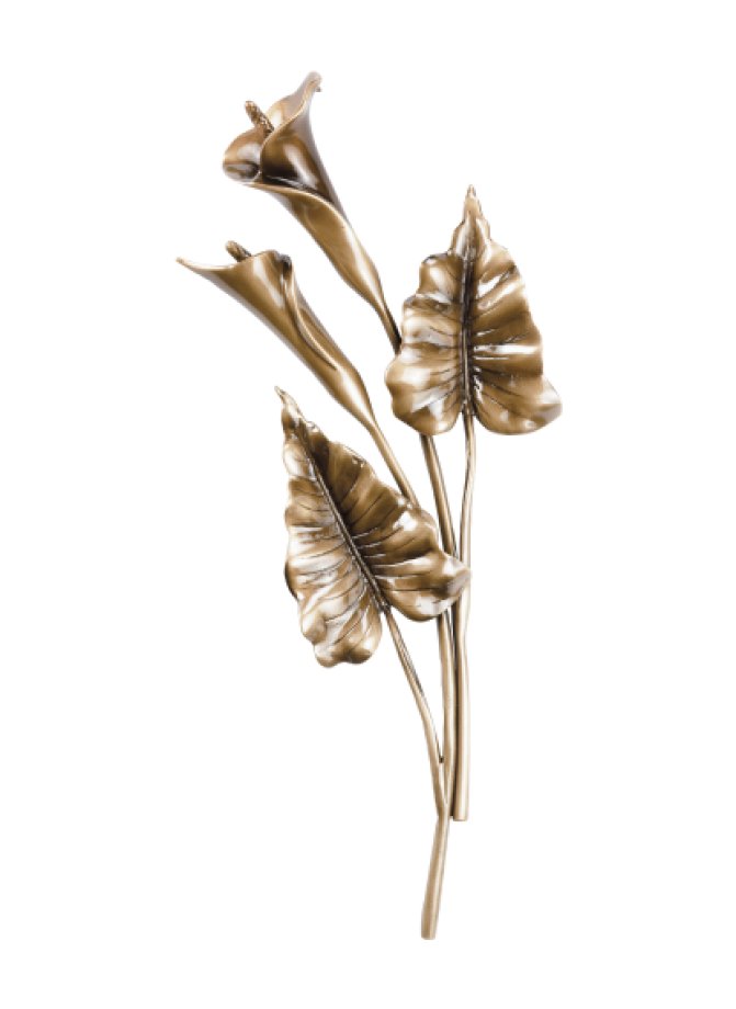 Calla