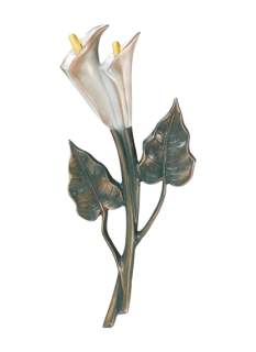Calla
