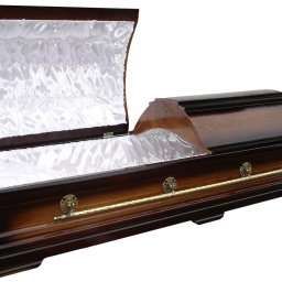 Preview image for  Sarcophagus