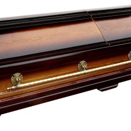 Preview image for  Sarcophagus