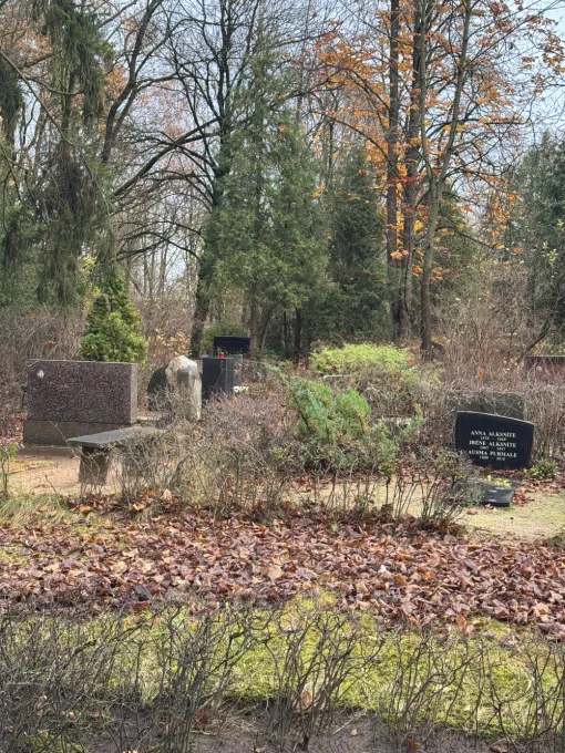 Plašs skats uz Rīgas Meža kapiem ar kokiem un alejām