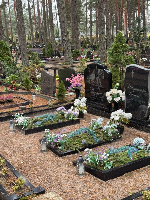 Kapavietas starp priedēm un sausām skujām Bolderājā